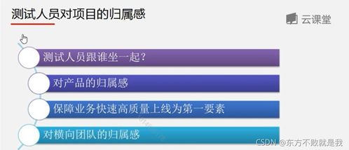 互聯網產品測試與信息安全軟件開發 構建可信賴的數字化未來